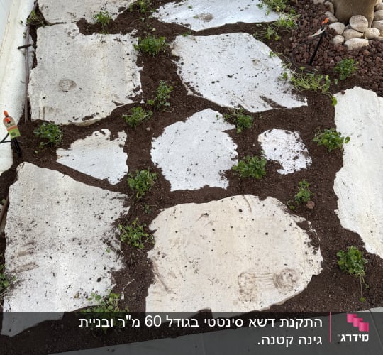 אבנים משתלבות עם אדמה וצמחים קטנים בגינה